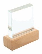 Rectofi trophy