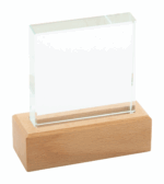 Rectofi trophy - Image 2